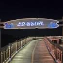 7시에 만나 | 여수 밤바다의 정석, 평일 저녁 7시 30분 낭만버스 2층 야경코스 솔직 이용 후기