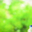 행정사사무소 너른 이미지