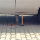 인식자동차정비공업사 이미지