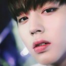 브럼
