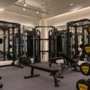 트리짐 트리태닝 이미지