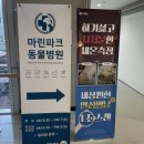 마린파크동물병원 네이버블로그
