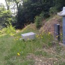 율곡천 1 이미지