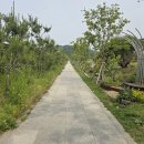 한내근린공원 | 광명 새빛공원 🌿산책 후기 – 광명역 도보 5분, 도심 속 숨은 힐링 스팟