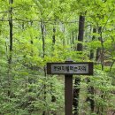 해오름 거진항생선찜 이미지