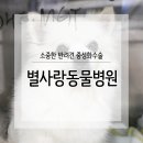 별사랑동물병원 이미지