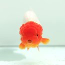 채형농장 이미지