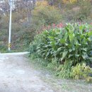 동천농장 이미지