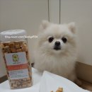 견생맛스토어 이미지