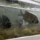 빅히트바다낚시터 이미지