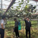 성산일출봉농업협동조합 이미지