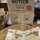 달임 | [성수역 핫플] 투어 필수 코스! 귀여운 곰돌이 카이막이 있는 성수동카페 ‘달임막’ 솔직 후기 🐻✨