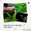 부경대학교 수산질병관리원 이미지