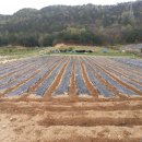 금수봉농장 이미지