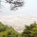 안기천로 Daum카페