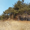 수암1리 경로당 이미지