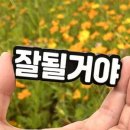 행운자동차공업사 이미지