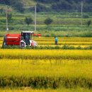 외율마을회관 이미지