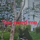 You need me 이미지