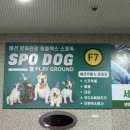 센텀1972 이미지