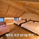 삼다숲 민박 | 제주도 조천 삼다숲 펜션 3대 숙박 그리고 감동 조식 후기