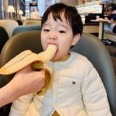 토마토키즈리움어린이집 | [위클리도영] 어금니 이 앓이 ㅜㅜ | 첫 카레 | 주라리움, 아쿠아밸리 놀러가기