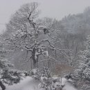 고향 - 서구 | 고향