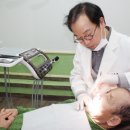 룡플란트치과 디지털타임스