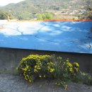 낙동면 비룡리 이미지