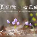 선기로1-5 이미지