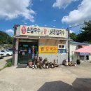 장안사손칼국수 | 부산 기장군 장안사 토종 팥칼국수 방문후기