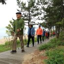 2025년 웰니스 노르딕워킹대회 이미지