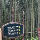 규원빌딩 | 🚘🧳 250606 ~ 250608