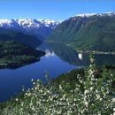 (주)티제이헬스케어 이미지