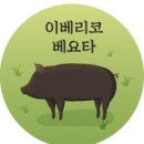 돼지골농장 조선일보