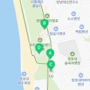 세븐일레븐 태안청포대점