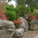 꿈에궁전 이미지