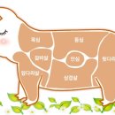 장터삼겹살 이미지