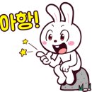 대야투유호N플러스빌골드 이미지