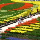 신라고등학교 이미지