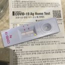 코로나 확진 일기/자가진단키트 음성, pcr 검사 양성/현재까지 증상과 정보