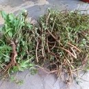 호범농장 이미지