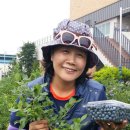 다은농장 이미지