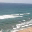 바람불어 좋은날 이미지