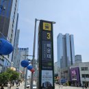 호텔 웨스턴 | 부산 당일치기 혼자 다녀온 해운대 서면 뚜벅이여행