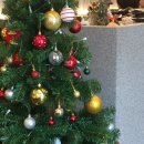 동산로 | Second week of December 2024, 행복일지 ෆ