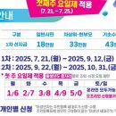 다음세대 태권도 이미지