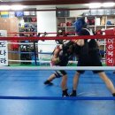 홍수환 JR복싱 이미지