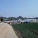 화산면512 이미지