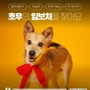 호우/남아/10kg 이미지